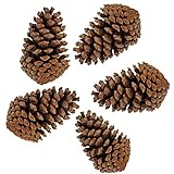 PineCones Tall Bulk Package All Natural,Real Preserved Pine Cones Big Pinecones and Perfect Natural Pine Cones for Christmas Hanging Ornaments Bowl Vase Fillers (3-4.3 in(12pcs))