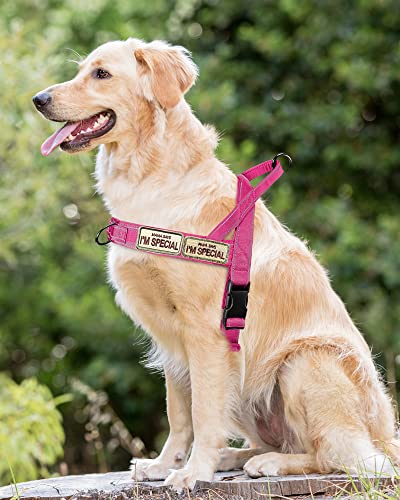 Eeyfarog No Pull Hundegeschirr für kleine mittelgroße Hunde, reflektierend ausbruchsicher verstellbar ohne Zug, Hundegeschirr (Rosa, S)