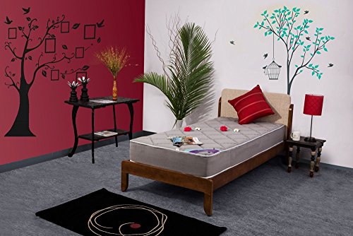 Image of Restolex Spine Smart 5-inch Single Size Coir Mattress (Grey, 78x36x5)
