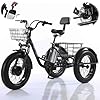 20'' Ricycle for Adults (3 Speed), Shopping Basket (20''x9''x12'') + 48v/12ah Removable Battery, Fat Tire Off Road Tricycles, Adult 3 Wheeled Bikes #2