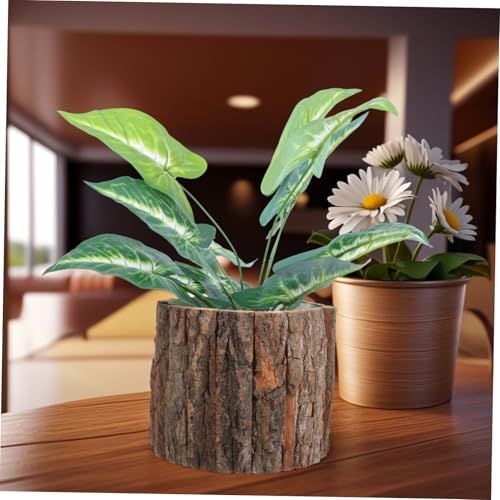 Souche arbre robuste pour intérieur extérieur et décoration