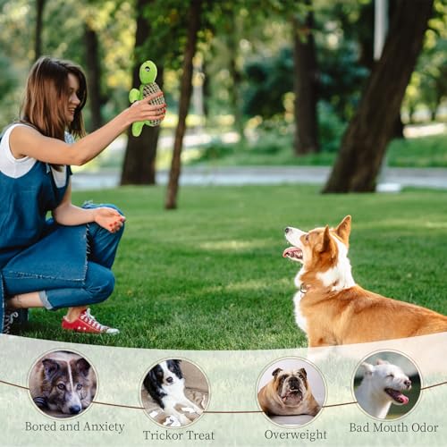 DecorDwell Plüschtier für Hunde, Quietschendes Hundespielzeug, Hundespielzeug mit Niedlich Plüsch Schildkröte Muster, Haustierspielzeug für Welpen Kleine, Mittelgroße Hunde, Robust und Langlebig