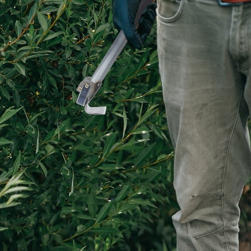 Raspador de corteza de árbol con mango metálico para jardinería 7