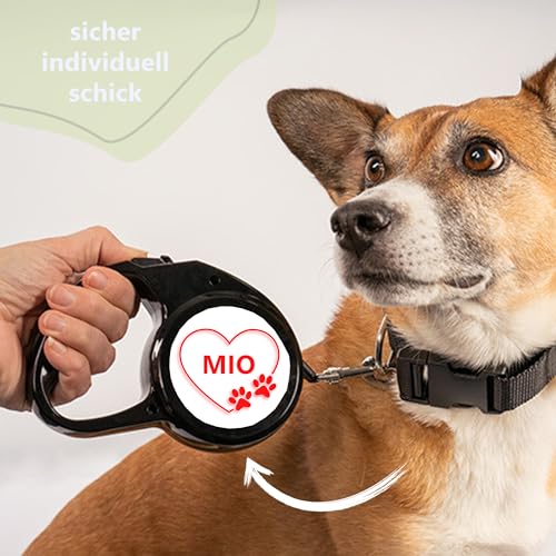 Kiwistar - Hundeleine - 200x20mm - selbst gestalten mit Foto & Wunschtext - individuell Bedruckt - personalisierte Geschenkidee - Leine mit bis 3m länge - für Hunde bis 25 kg
