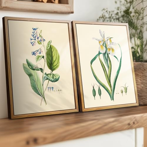 crmotu Vintage Floral Wall Art, White Iris Framed Art Prints, Minimalist Botanical Decor Pictures, Nature Plant Canvas Painting, Modern Farmhouse Wall Decor Living Room Bedroom Kitchen, 12x16 inch