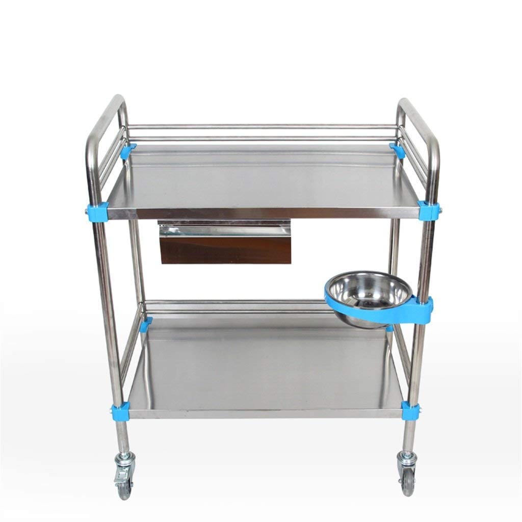 Trolley-Stainless Steel Instrument Car Board Push Truck Mute Trolley Hand Cart Four Wheel Small Trailer Hospital Beauty Salon Double Layer Practical