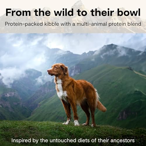 Open Farm RawMix Grain Free Dry Dog Food, Front Range Kibble, 20lb Bag | Grass Fed Beef, Pasture Raised Lamb, Humanely Raised Pork, Freeze Dried Raw Chunks, 100% Traceable Ingredients. - Image 5
