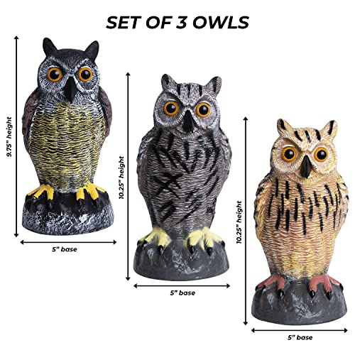 Galashield KT6001 Plastic Owl Decoys [Set Of 3] thumb #3