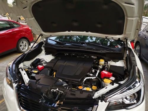Tige de support Subaru Forester SK capot lourd solution gaz