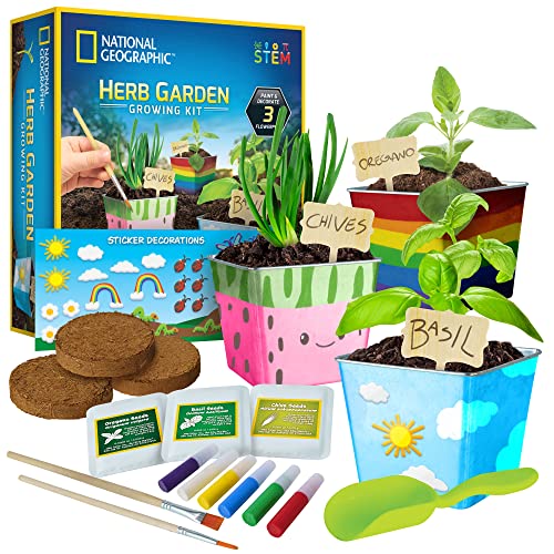 National Geographic Herb Growing Kit - Decorate 3 Pots with...