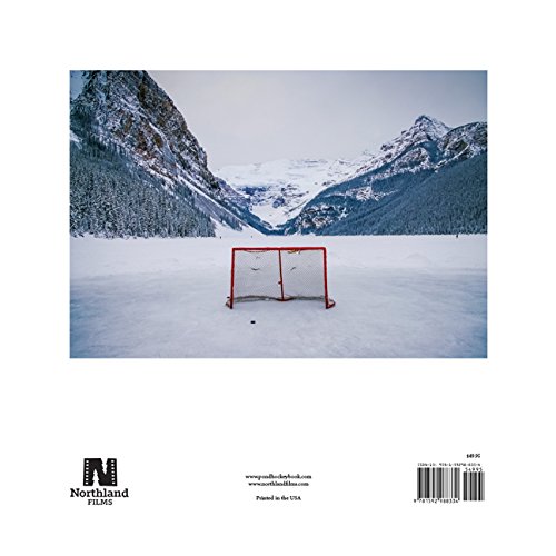 Pond Hockey: Frozen Moments