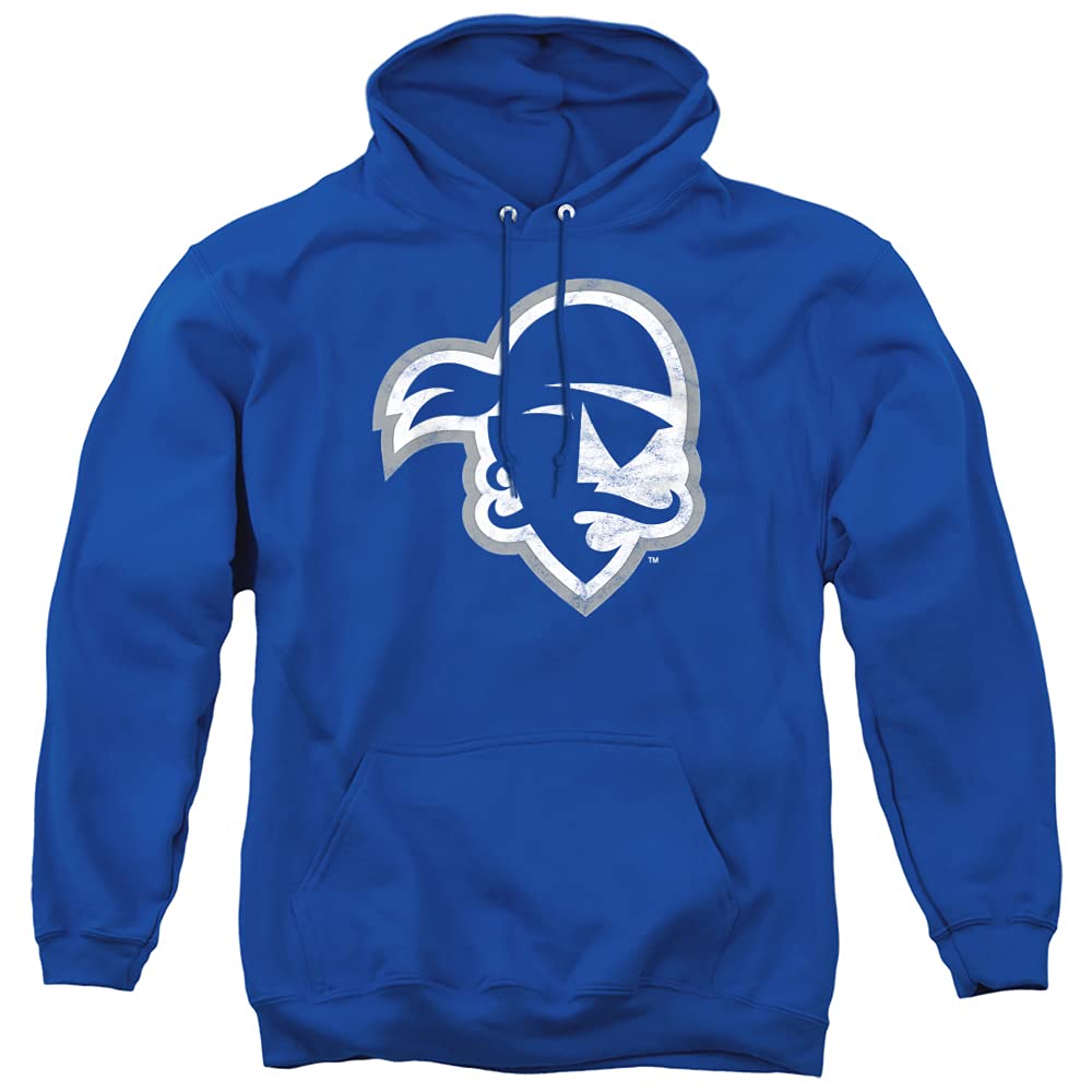 LOGOVISION Official Collegiate Distressed Primary Logo Adult Pullover Hoodie Collection — view 492