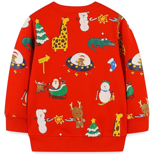 Image of AIWUHE Toddler Cotton Sweatshirt Boys Girls Pullover Long Sleeve Tops 2-6Y