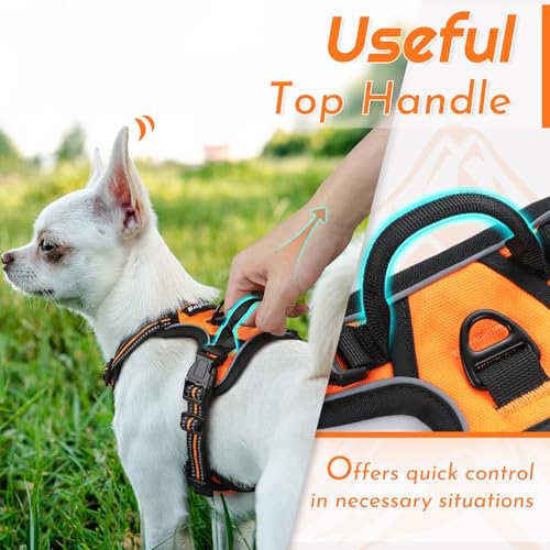 Image of Eagloo Dog Harness for Small Dogs, No Pull Pet Vest with 2 Leash Clips