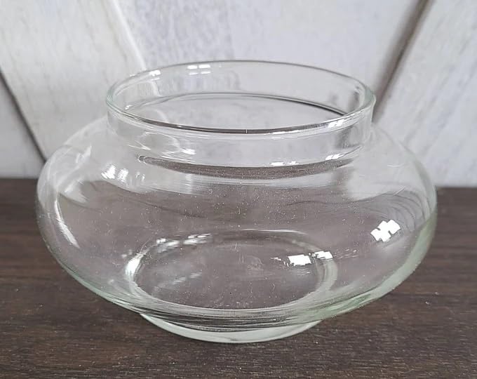 Image of Bamboo Pots Glass pots for Lucky Bamboo Bowl transperant Glass Bowl