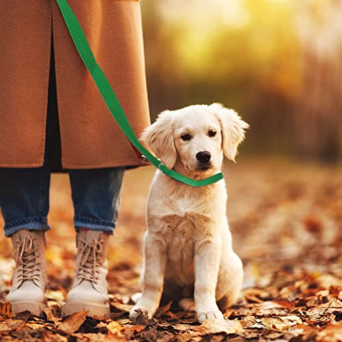 Image of Litewoo 6 Packs Slip Lead Dog Leash, Durable and Comfortable for Cats, Dogs and Other Small Animals