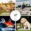Pet Microchip Reader, oplaadbare RFID-lezer Animal Chip ID Scanner Handheld Animal Tag Scanner met OLED-display voor Dog Cat Animal Management - Image 8
