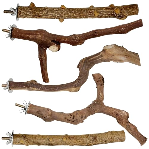 Image of Woohome 5 PCS Natural Grape Stick Natural Wooden Parrot Stand, 3 Grape Wood Perch, 2 Stand, Paw Grinding Fork Bird Perch Stand for Cage Accessorie, Cockatiels, Small Birds