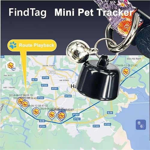 Mini Haustierortungsgerät für Hunde & Katzen, Kompatibel mit iOS & Android mit Reflektierend Halsband, Ortungsgerät Weltweite Standortverfolgung, IP67 Wasserdicht für Hauskatzen und Hunde (Black)