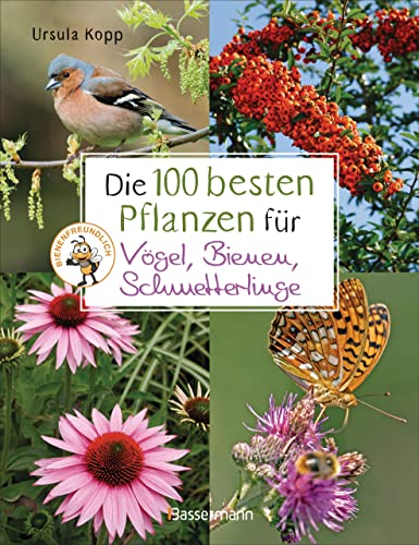 Die 100 besten Pflanzen für Vögel, Bienen, Schmetterlinge: Mehr...