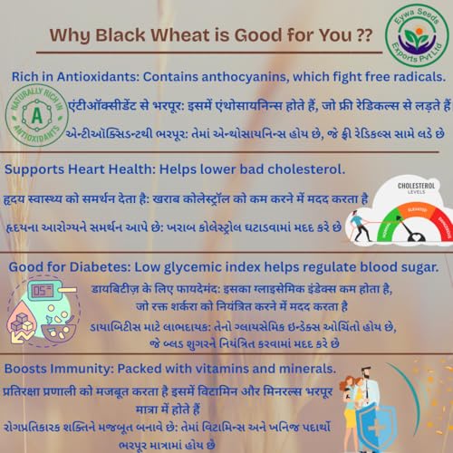 Image of Eywa Seeds & Exports Pvt Ltd Organic Black Wheat Flour (15 Kg) For Eating And Cooking|Kale Gehu Ka Atta|Produce Of India From Organic Farms