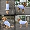 Lovelonglong Pet Clothing Dog Costumes Basic Blank T-Shirt Tee Shirts for Medium Large Dogs White XXL+ #4
