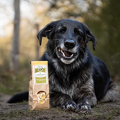 Bellfor Knabber-Schmaus Hundekekse mit frischem Hühnerfleisch – 100 g. Getreidefreie Hundeleckerlis ohne Zucker, leicht verdaulich für Sensible Hunde. Snacks für das Hundetraining