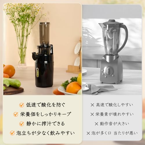 Ventray Ginnie スロージューサー