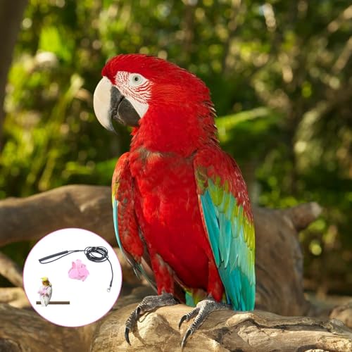 Image of Adult Parrot Bird Harness, for Parrots Adjustable & Lightweight Birds Harness with Quick Release Parrot Belt for Outdoor Training of Macaws, Budgies, Cockatiels (Vibrant Pink)