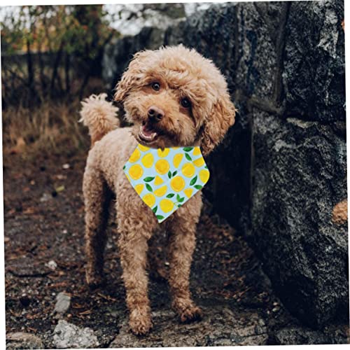 HYTROVE Haustier Bandana Hundehalstuch Aus Baumwolle Mit Fruchtdesign Leicht Anzulegen Für Katzen Und Hunde Haustierzubehör Für Alltag Und Party