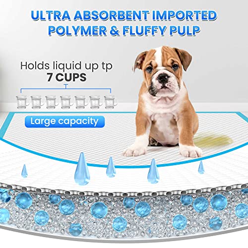 Image of Bulubaky 6 Layers Leak-Proof Super Absorbent Puppy Pads Pee Pads for Dogs, XXL Extra Large Thicken Polymer Quick Dry Wee Wee Pads, Disposable Pet Training Pads for Dogs Cats Rabbit Parrots