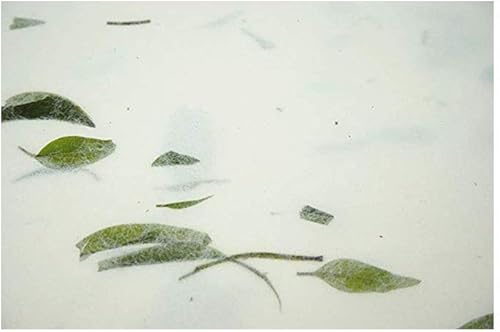 Miniatura 3 de LSHY Papel Xuan hecho a mano con acuarela maobiana, papel de arroz medio maduro con pétalos amarillos naturales, tamaño de papel A4 para niños,