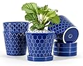 BUYMAX Plant Pots Indoor –5 inch Ceramic Flower Pot
