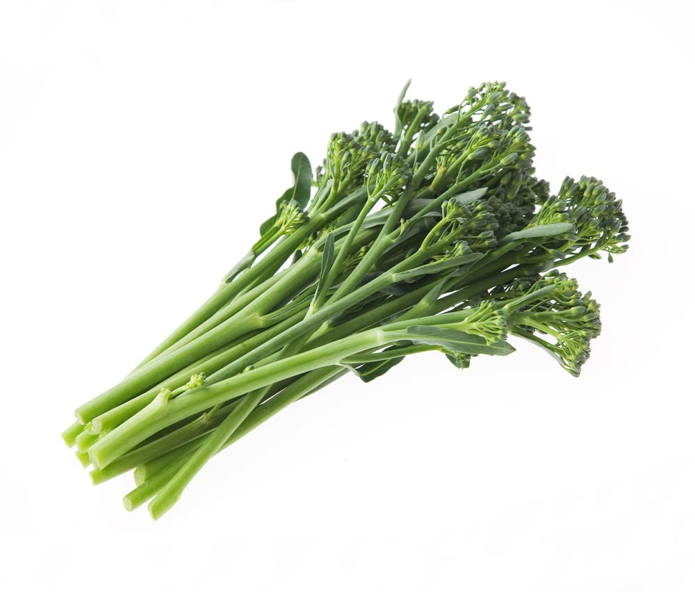 Broccoli Plants, Broccoli 'Tenderstem', 12 x Full Plant Pack, Vegetable Plants, Grow Your Own, Garden Veg, Fresh Produce, Garden Ready and Ready to Plant, Premium Quality Vegetables