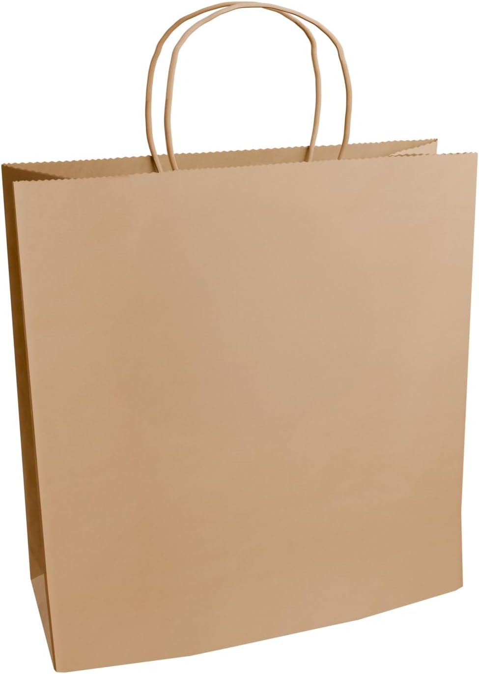 Labelmeister 10x6.75x12 Inch Debbie Handle Bag, 100 Count, White Recyclable Paper Bags for Restaurant Takeout, Food Delivery, Catering, Retail, Shopping, Boutique, Merchandise, and To-Go Packaging