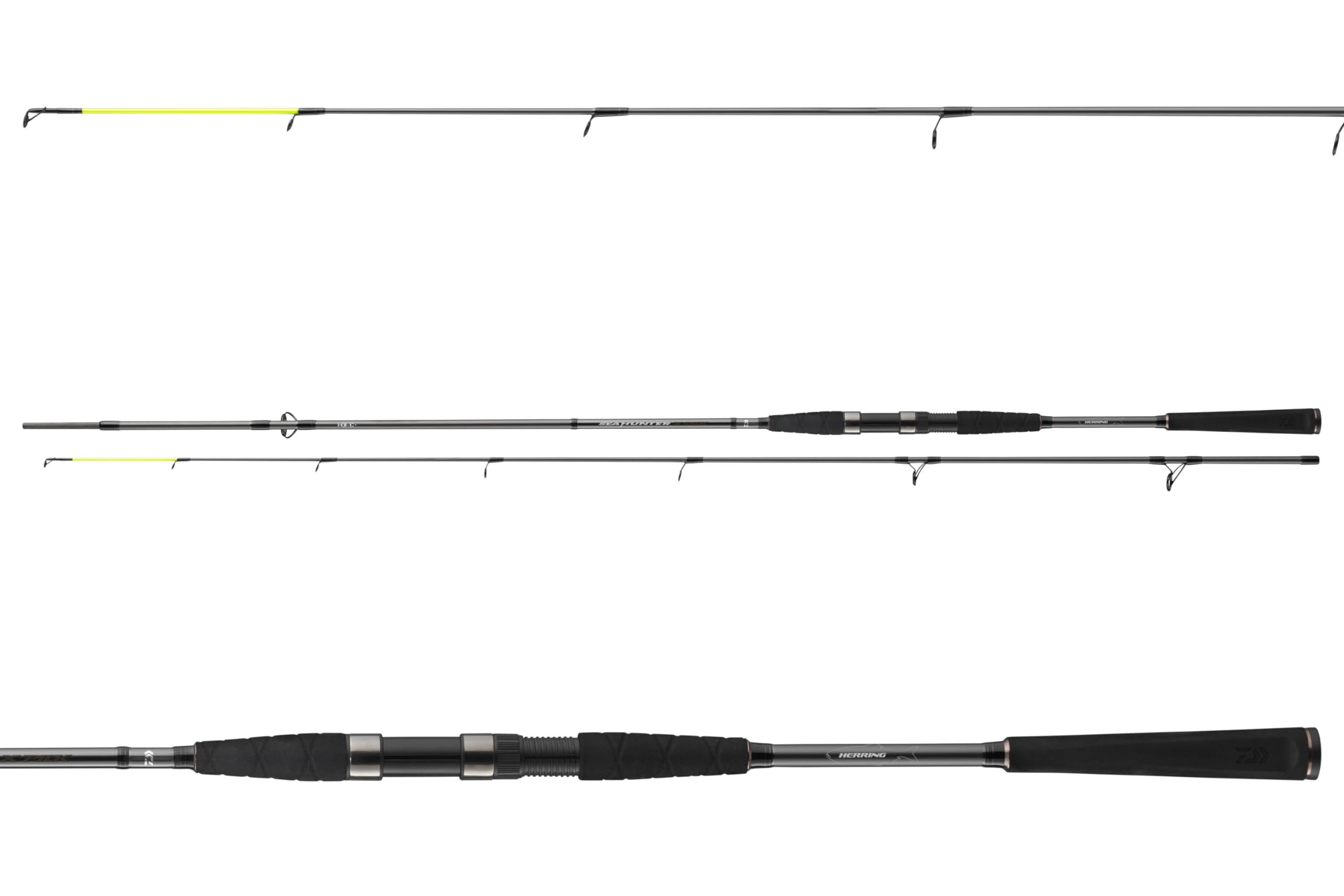 Daiwa Seahunter X 2.70m 30-60g