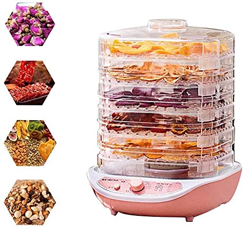 Nueva máquina de frutas secas Secador de alimentos para el hogar Carne Frutas Vegetales Secador de Alimentos Pequeño Deshidratador