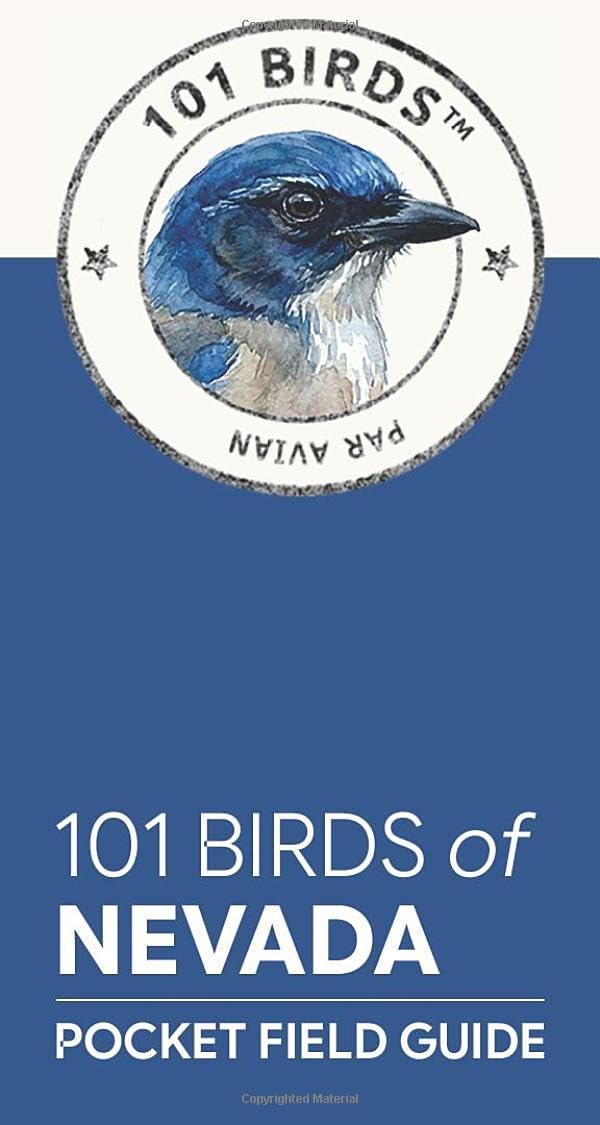 101 Birds of Nevada: Pocket Field Guide (101 Birds Pocket Field Guides)