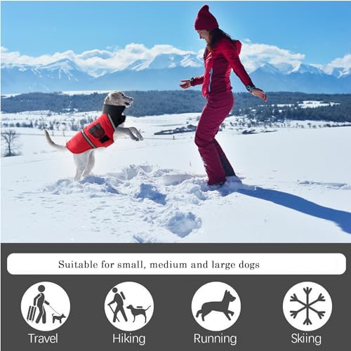 Ropa, Pet Products sueter perro Marca Sobirdos (3)