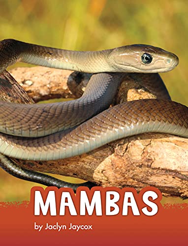 Mambas (Pebble Explore)