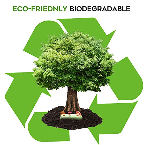 PANYEE Cleaning Scrub Colored Sponge,Non-Scratch Kitchen Cellulose Dishwashing Sponge,16Pack Biodegradable Natural Sponge