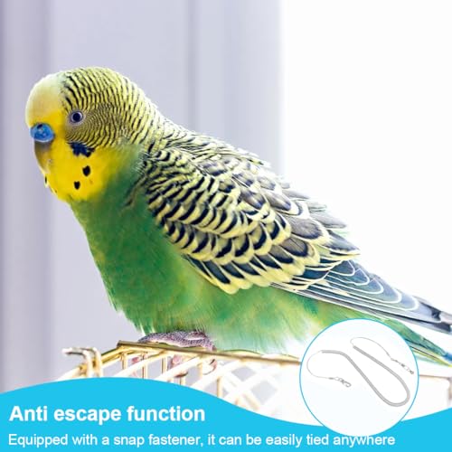 LQIOACU Geschirr und Leine für Papageien, 6 m, für kleine Haustiere