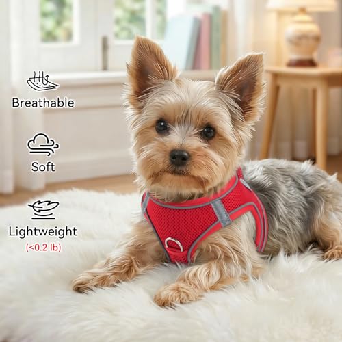 Joytale Hundegeschirr, Reflektierend Weich Gepolstert Hunde Geschirr, Air-Mesh Atmungsaktiv Brustgeschirr für Kleine Mittelgroße Hunde, M, Rot
