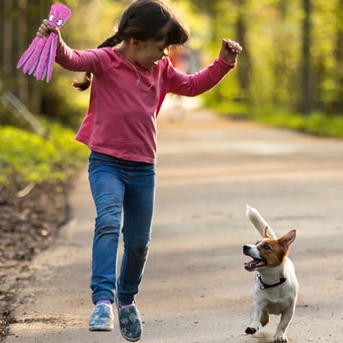 GWAWG Quietschende Spielzeug für Hund, Hundespielzeug ohne Füllung, Plüschspielzeug für Hunde, Sicher Kauspielzeug für Kleine & Mittel Hunde(Lila)