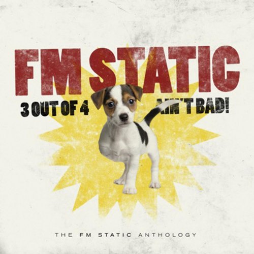 Fm Static
