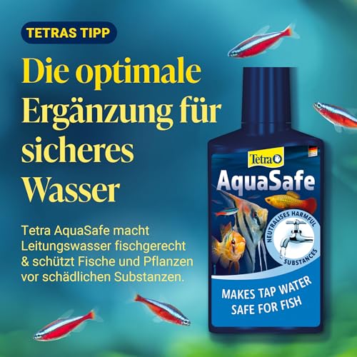 Tetra FilterActive Bacteria - 2in1 Mix aus lebenden Starterbakterien und schlammreduzierenden Reinigungsbakterien, hält den Filter biologisch aktiv und reduziert Mulm, 250 ml