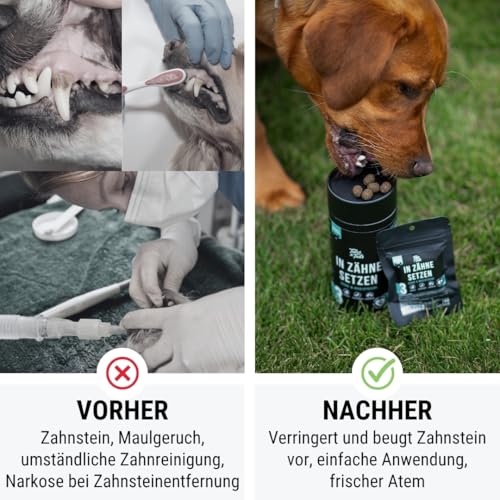 Tales & Tails In Zähne setzen Zahnpflege-Snack für Hunde, Allergiker geeignet, Getreidefrei - 1 Dose 325g