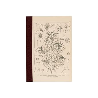 Hobonichi Techo Accessories Hobonichi Graph Notebook A6 - Yamazakura