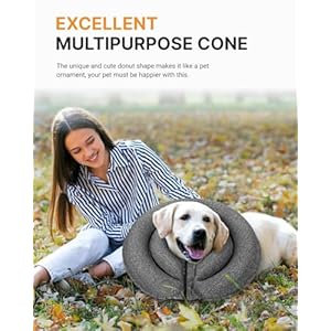 MIDOG-Dog-Cone-Collar-for-Large-Medium-Dogs-Soft-Inflatable-Dog-Cone-Alternative-After-Surgery-Adjustable-Protective-Recovery-Cone-Alternative-E-Collar-Does-Not-Block-Vision-Gray-L-Patented - Cucciolini Doodles   MIDOG-Dog-Cone-Collar-for-Large-Medium-Dogs-Soft-Inflatable-Dog-Cone-Alternative-After-Surgery-Adjustable-Protective-Recovery-Cone-Alternative-E-Collar-Does-Not-Block-Vision-Gray-L-Patented