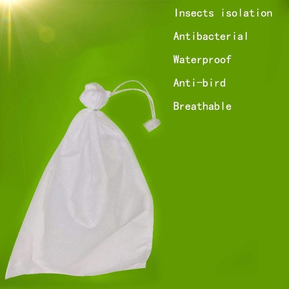 Bolsas Protectoras contra Insectos para Uvas, Bolsas de Malla antiinsectos for Cultivo Frutas, Verduras y Uvas, 100 Unidades(XL)